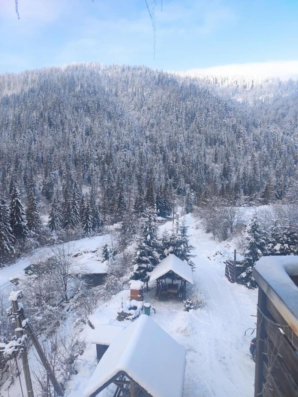 Біля Витягу Slavske Pokoj fotografie